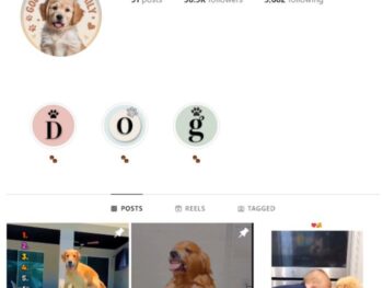 30K Golden Retriever Dogs Instagram Account for sale