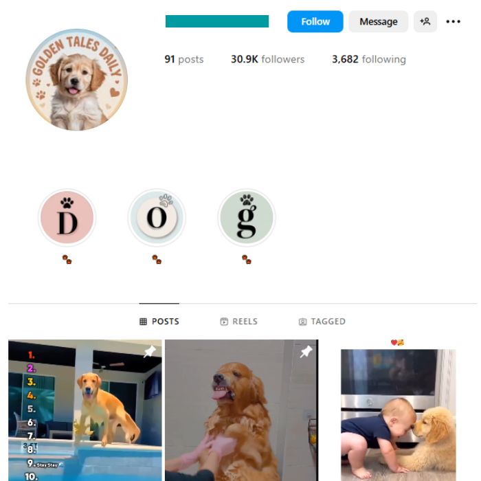 30K Golden Retriever Dogs Instagram Account for sale