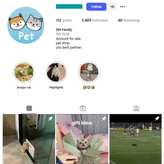 3K Pets Cats Instagram Account for sale