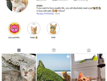 4K Cute Cats Instagram Account for sale