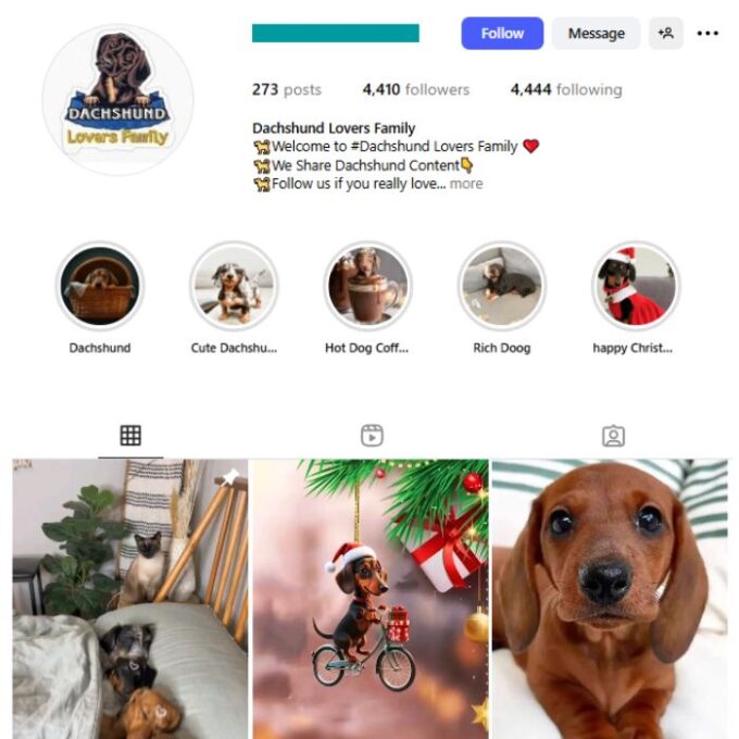 4K Dogs Pets Dachshund Instagram Account for sale