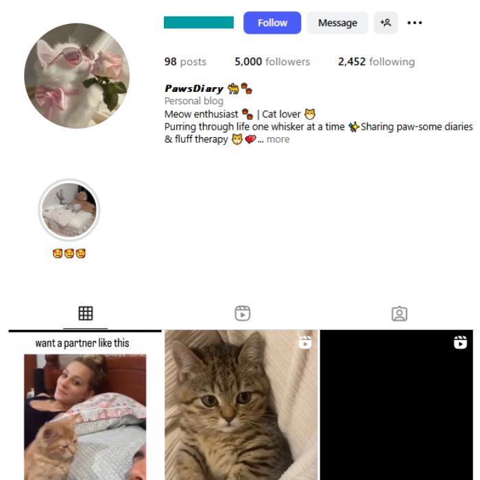 4K Kittens Cats Instagram Account for sale