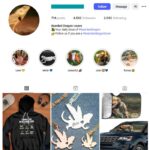 4K Lizard Pet Reptiles Instagram Account for sale