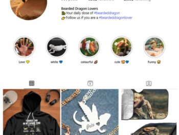 4K Lizard Pet Reptiles Instagram Account for sale