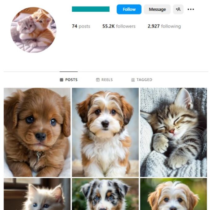 55K Pets Dogs Cats Instagram Account for sale