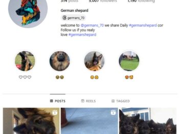 5K Dogs German Shepherd Instagram Account for sale