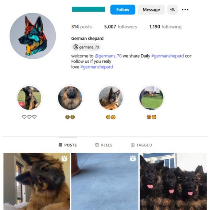 5K Dogs German Shepherd Instagram Account for sale