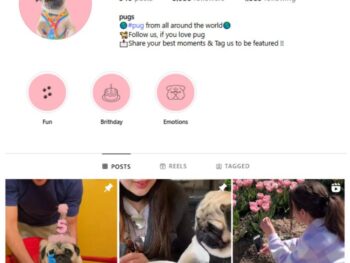 5K Dogs Pets Pugs Instagram Account for sale