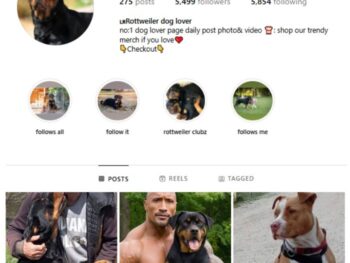 5K Rottweilers Dog Instagram Account for sale