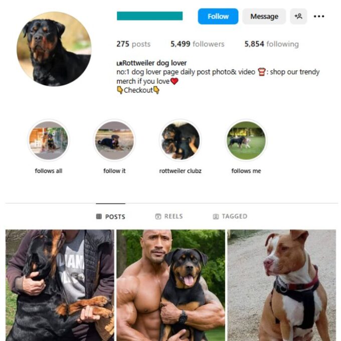 5K Rottweilers Dog Instagram Account for sale