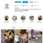 6K Kittens Cats Instagram Account for sale