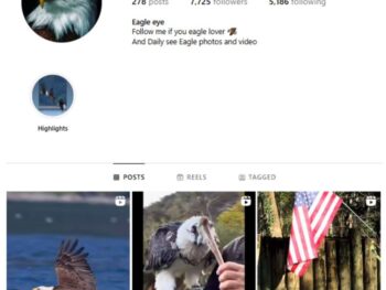 7K American Eagle Instagram Account for sale