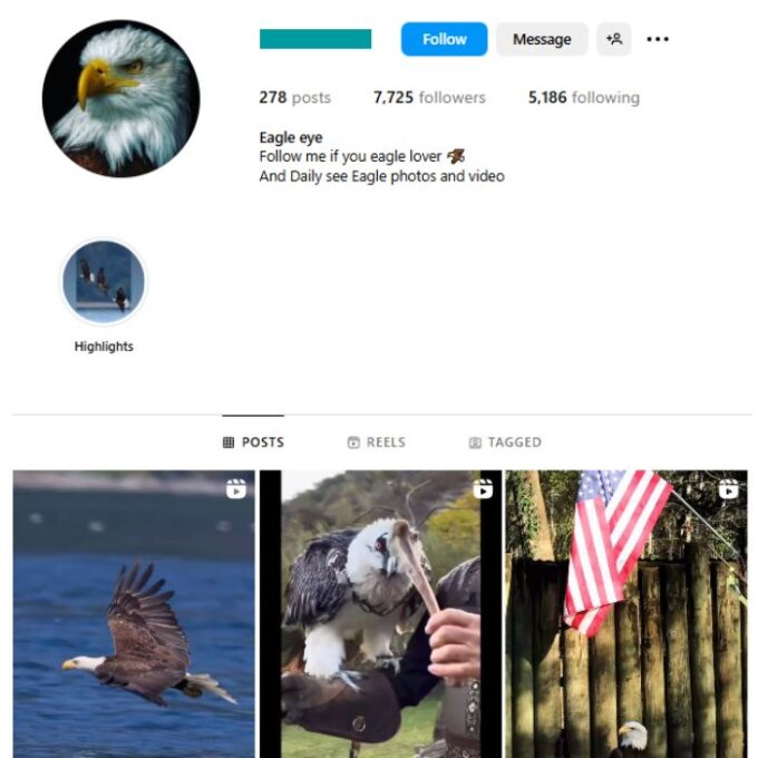 7K American Eagle Instagram Account for sale