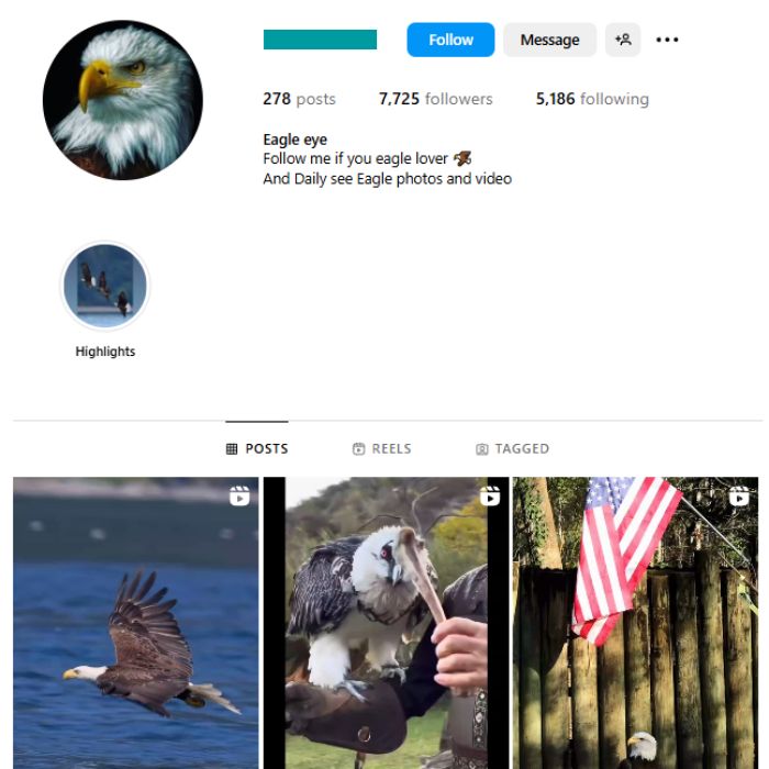 7K American Eagle Instagram Account for sale