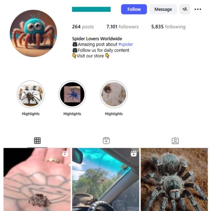7K Insects Spiders Instagram Account for sale