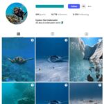 8K Fish Dolphins Instagram Account for sale