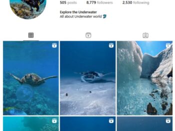 8K Fish Dolphins Instagram Account for sale