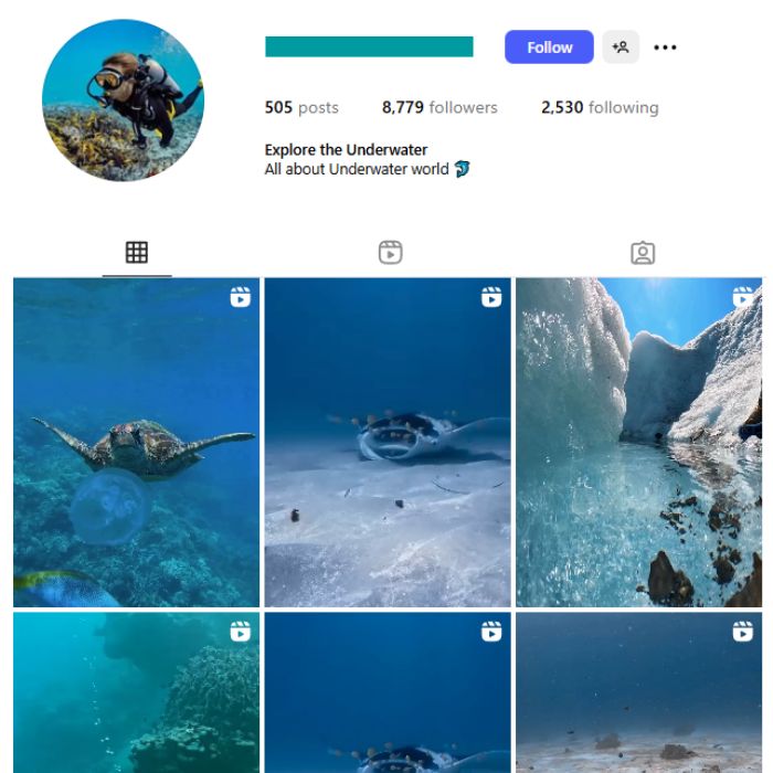8K Fish Dolphins Instagram Account for sale