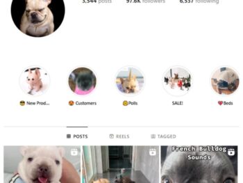 95K French Bull Dogs Instagram Account for sale
