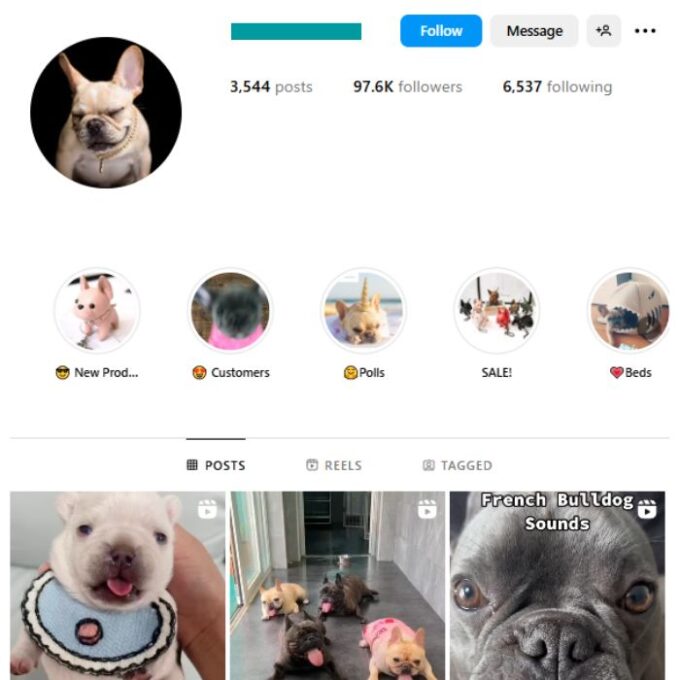 95K French Bull Dogs Instagram Account for sale