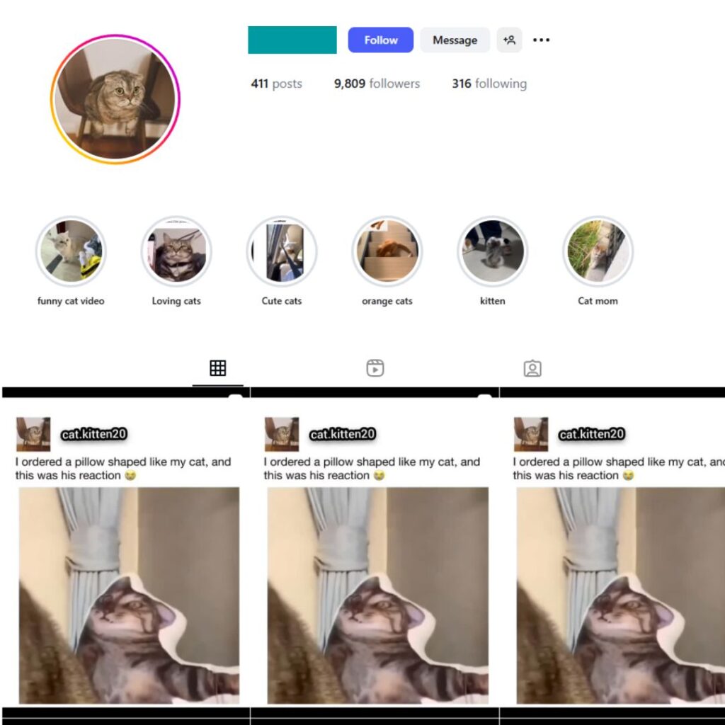 9K Cats Pets Instagram Account for Sale