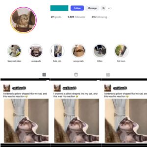 9K Cats Pets Instagram Account for Sale