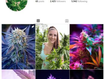 2K CBD Herbs Instagram Account for sale