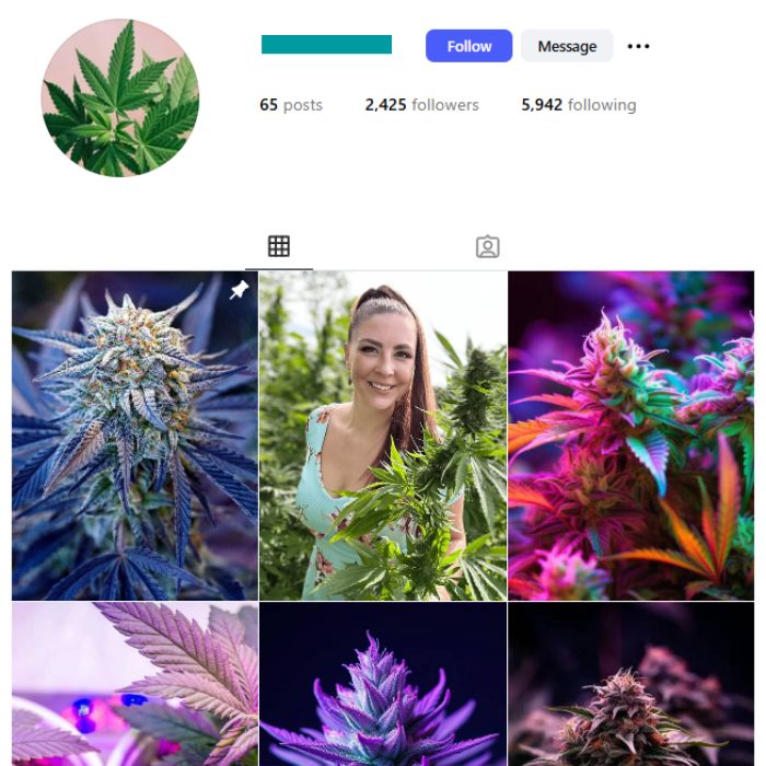 2K CBD Herbs Instagram Account for sale