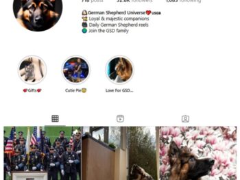 30K German Shepherd Dog Instagram Account for sale