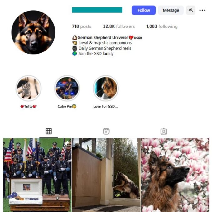 30K German Shepherd Dog Instagram Account for sale
