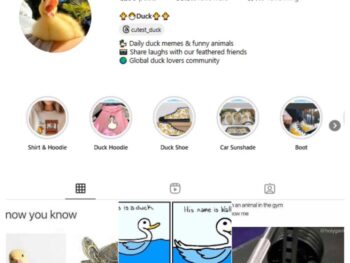 35K Ducks Animal Memes Instagram Account for sale