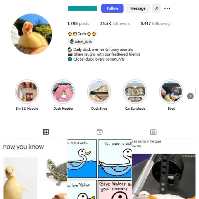 35K Ducks Animal Memes Instagram Account for sale