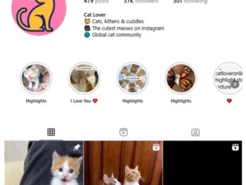 37K Pets Cats Instagram Account for sale