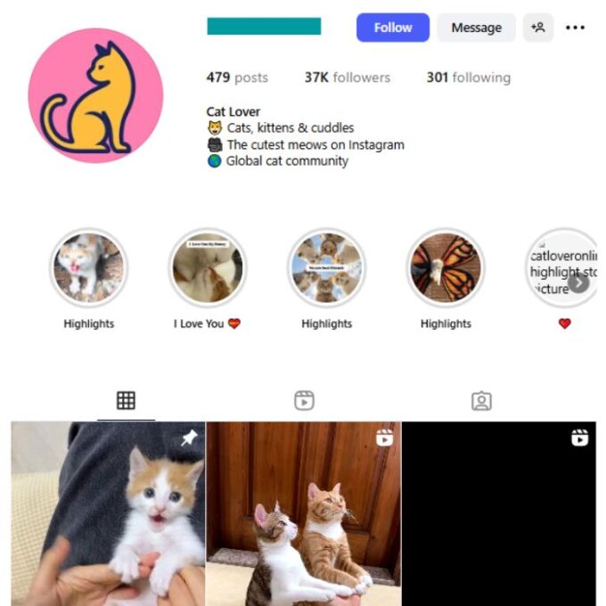 37K Pets Cats Instagram Account for sale