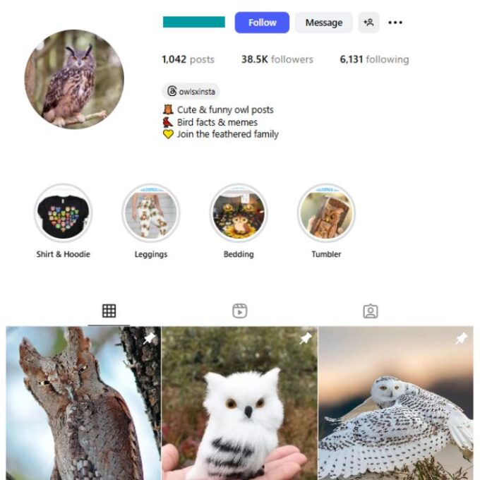 38K Owls Birds Animals Instagram Account for sale