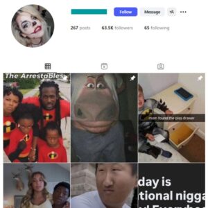60K Offensive Memes Instagram Account for sale