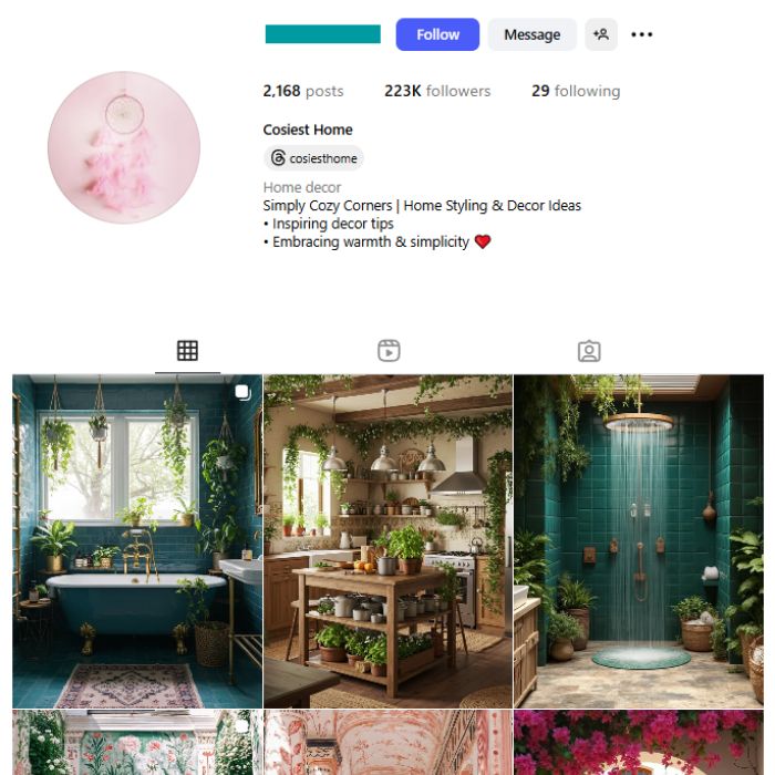220K Bohemian Decor Interior Instagram Account for sale
