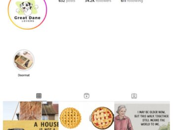 34K Dachshund Dogs Instagram Account for sale