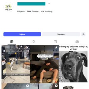 50K Great Dane Dogs Instagram Account for sale