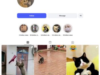 100K Cats Pets Instagram Account for sale