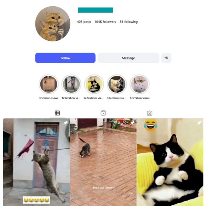 100K Cats Pets Instagram Account for sale