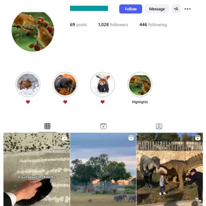 1K Pets Animals Instagram Account for sale
