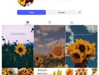 20K Sunflower & Positivity Quotes Instagram Account for sale