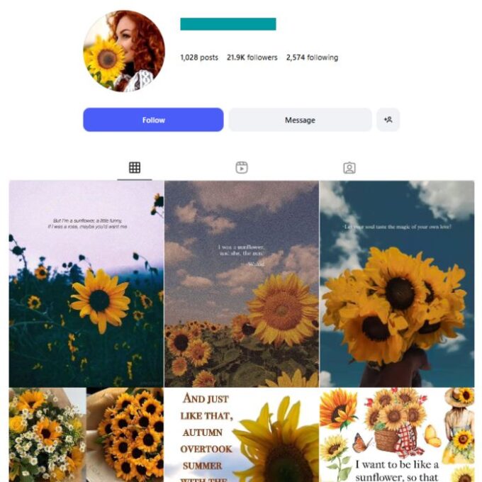 20K Sunflower & Positivity Quotes Instagram Account for sale
