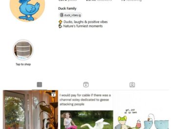 25K Ducks Animal Pets Instagram Account for sale