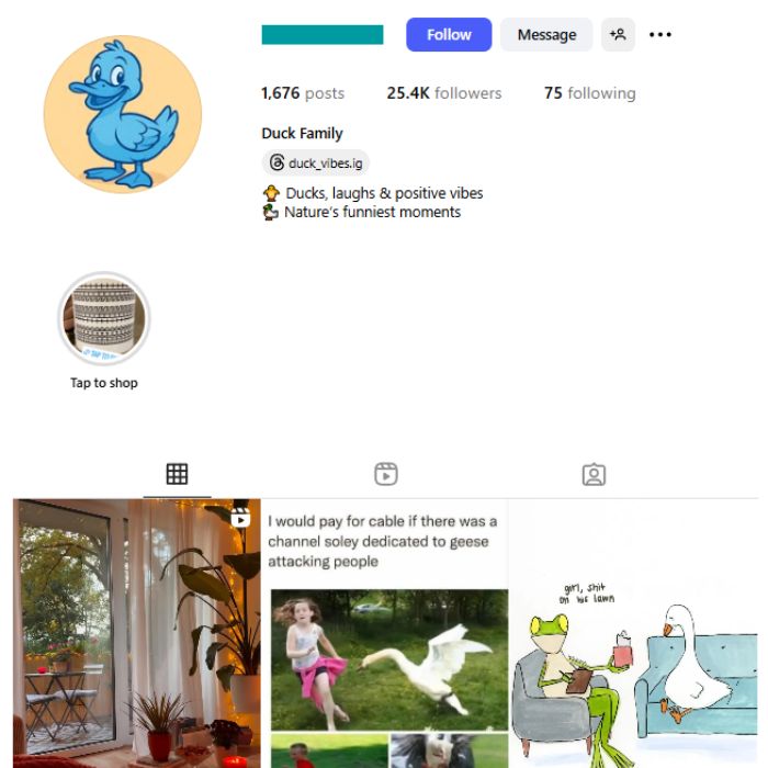 25K Ducks Animal Pets Instagram Account for sale