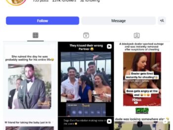 230K Pets Cats Instagram Account for sale