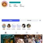 2K AI Cats Instagram Account for sale