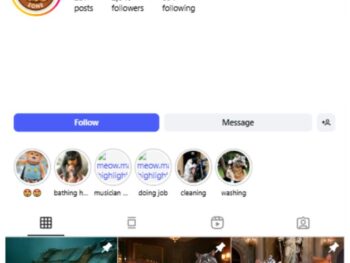2K AI Cats Instagram Account for sale