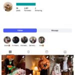 2K AI Cats Instagram Account for sale